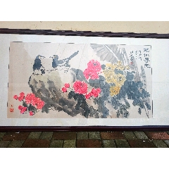 青岛管同池精品花鸟