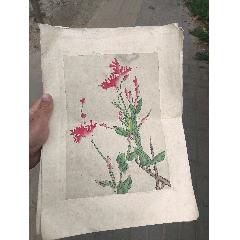 手绘花鸟小品两张