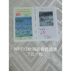 W券一枚价