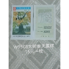 W券一枚价