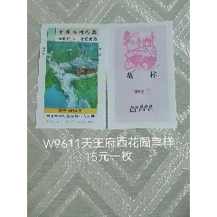 W券一枚价