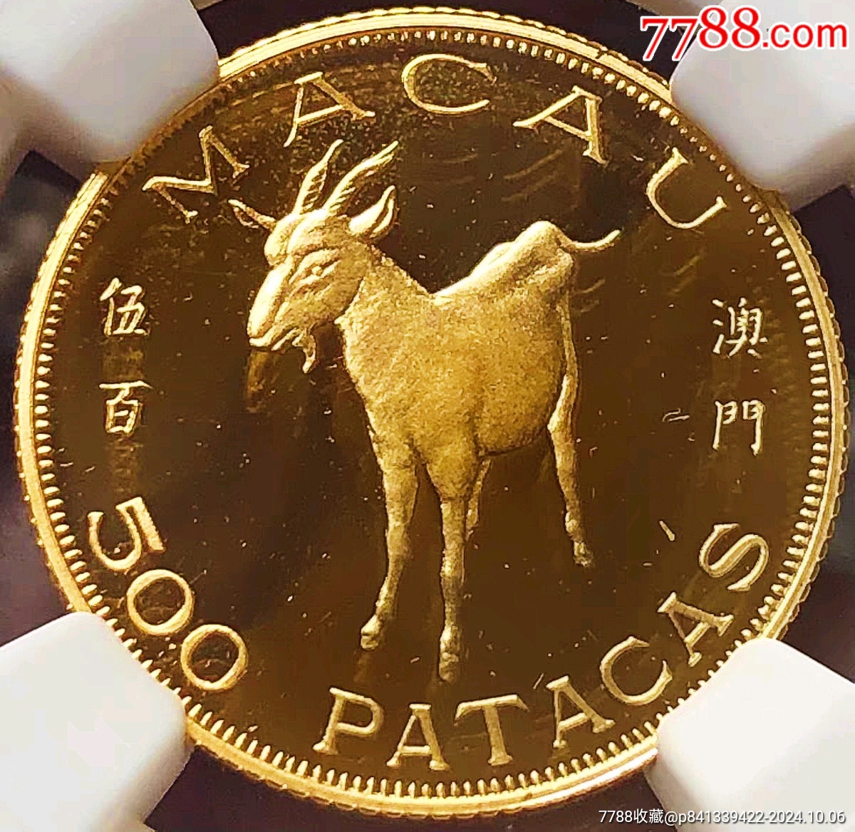 少见美品1979年澳门生肖羊500澳元精制纪念金币NGC评级PF68收藏-港澳台钱币-7788红宝书
