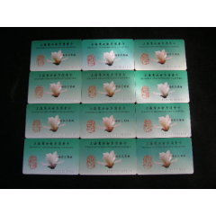 購物卡---上海商業(yè)電子消費(fèi)卡12枚徐家匯_藏品廣場(chǎng)