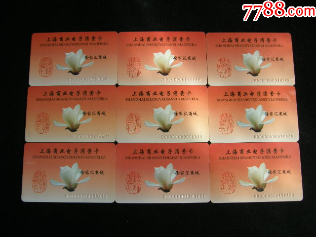 購(gòu)物卡---上海商業(yè)電子消費(fèi)卡9枚徐家匯_價(jià)格18元【藏品廣場(chǎng)】_第1張_7788收藏__收藏?zé)峋€