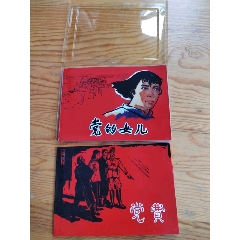 黨的女兒，黨費兩冊，2024年，10月15號上，_新寶寶
