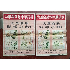 江西省医药公司宣传的《为革命采挖中草药材》宣传画两张