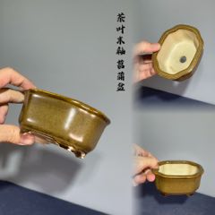 FQ5399茶叶未釉|菖蒲盆