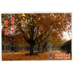 《80分孔廟-大成殿》郵資加印片--曲阜師范大學(xué)