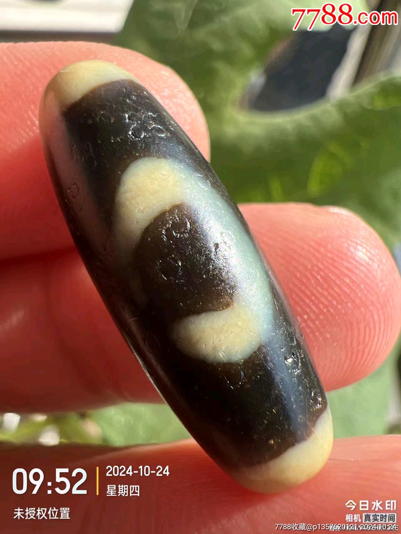 藏传爆老几百年天地老天珠-天珠-7788旧书网