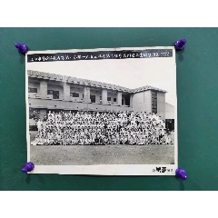 1956年上海市普陀区长寿路小学第四届毕业留影，照片净尺寸30X25厘米