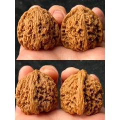 文玩核桃南疆石凹底拉丝蚂蚁纹炮弹桩南将石老树野生狮子头麒麟纹
