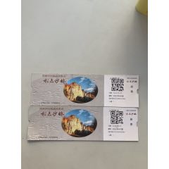 云南陸良彩色沙林門票2張(se104115769)_木棉花標(biāo)店