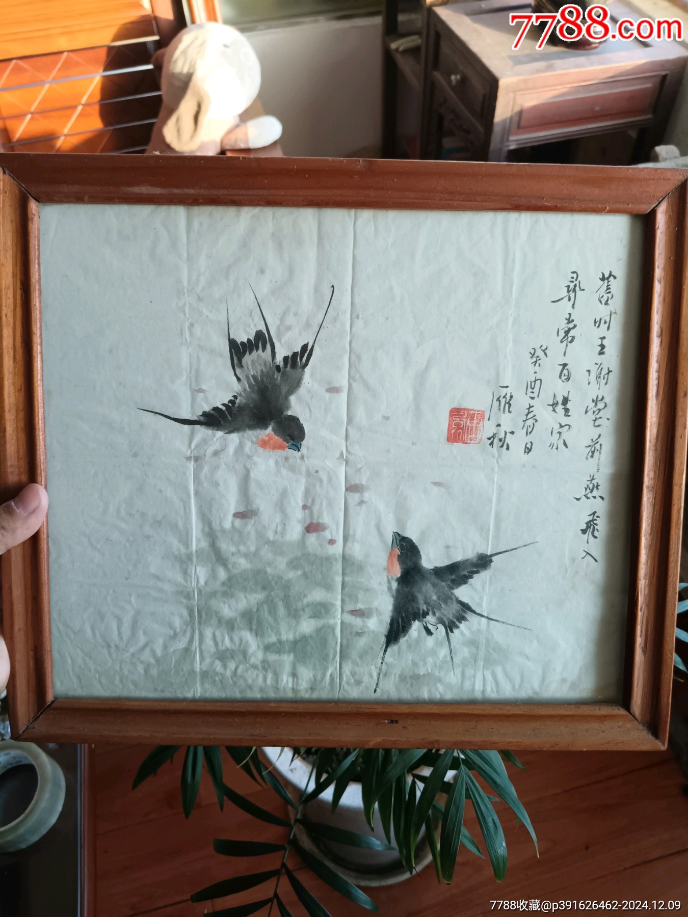 小精品,雁秋款,双燕图。国画,花鸟,山水,字画,书画。镜框,外框尺寸34-29左_人物国画原作_金迷纸醉【7788收藏__收藏热线】