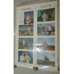 經(jīng)典:平原作戰(zhàn)(se104364022)_芍花連藏