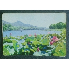 1973年一湖山風(fēng)荷_安居收藏店