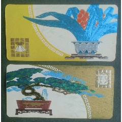 1978年一盆景_安居收藏店