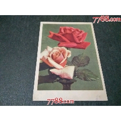 外國片_風(fēng)雅書亭