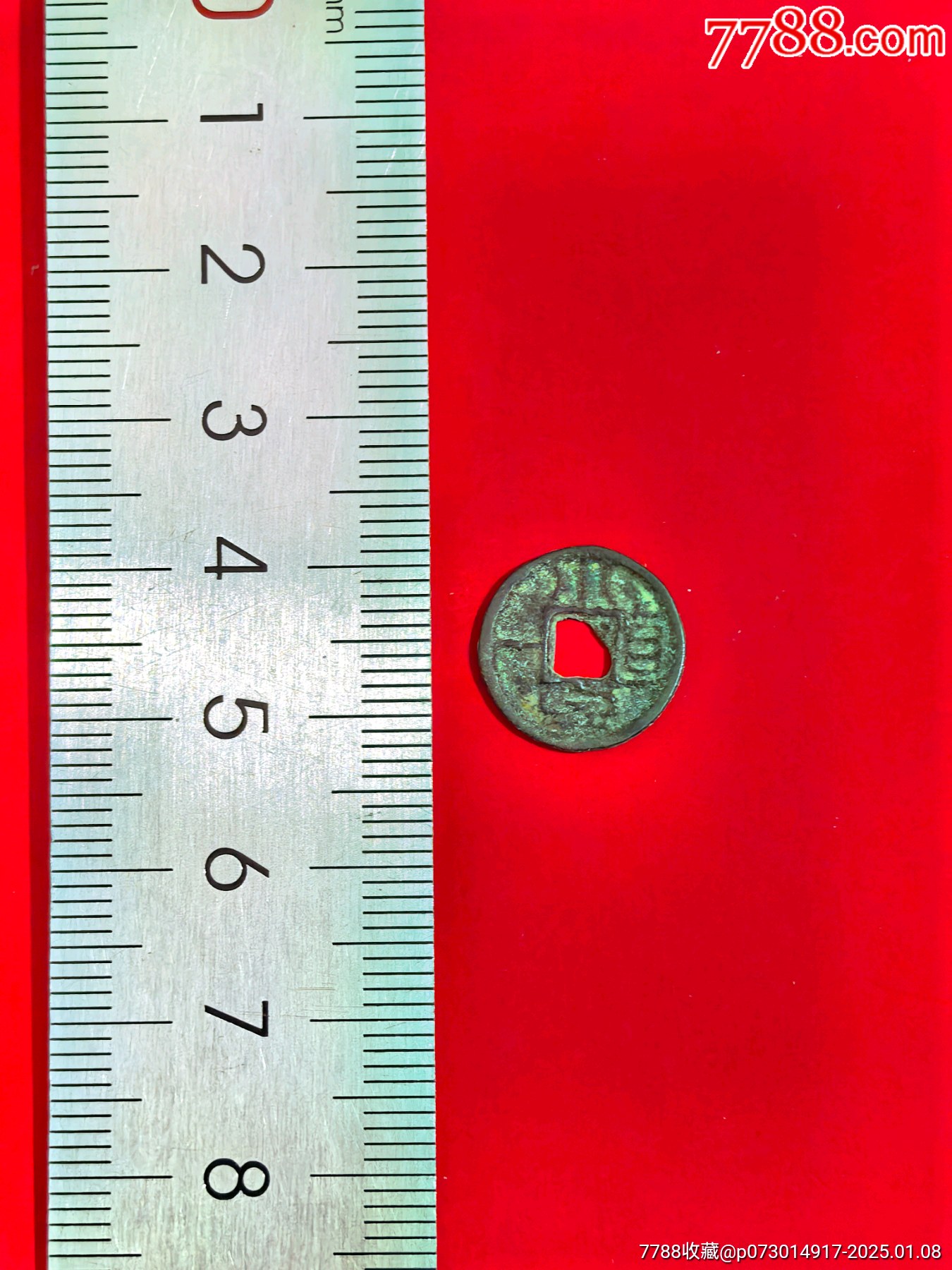 54037721.jpg
