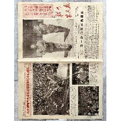 1967年廣西省梧州市農(nóng)民報(bào)-進(jìn)一步加強(qiáng)軍民團(tuán)結(jié)！梧州老報(bào)紙(se105030883)_月寶齋收藏閣