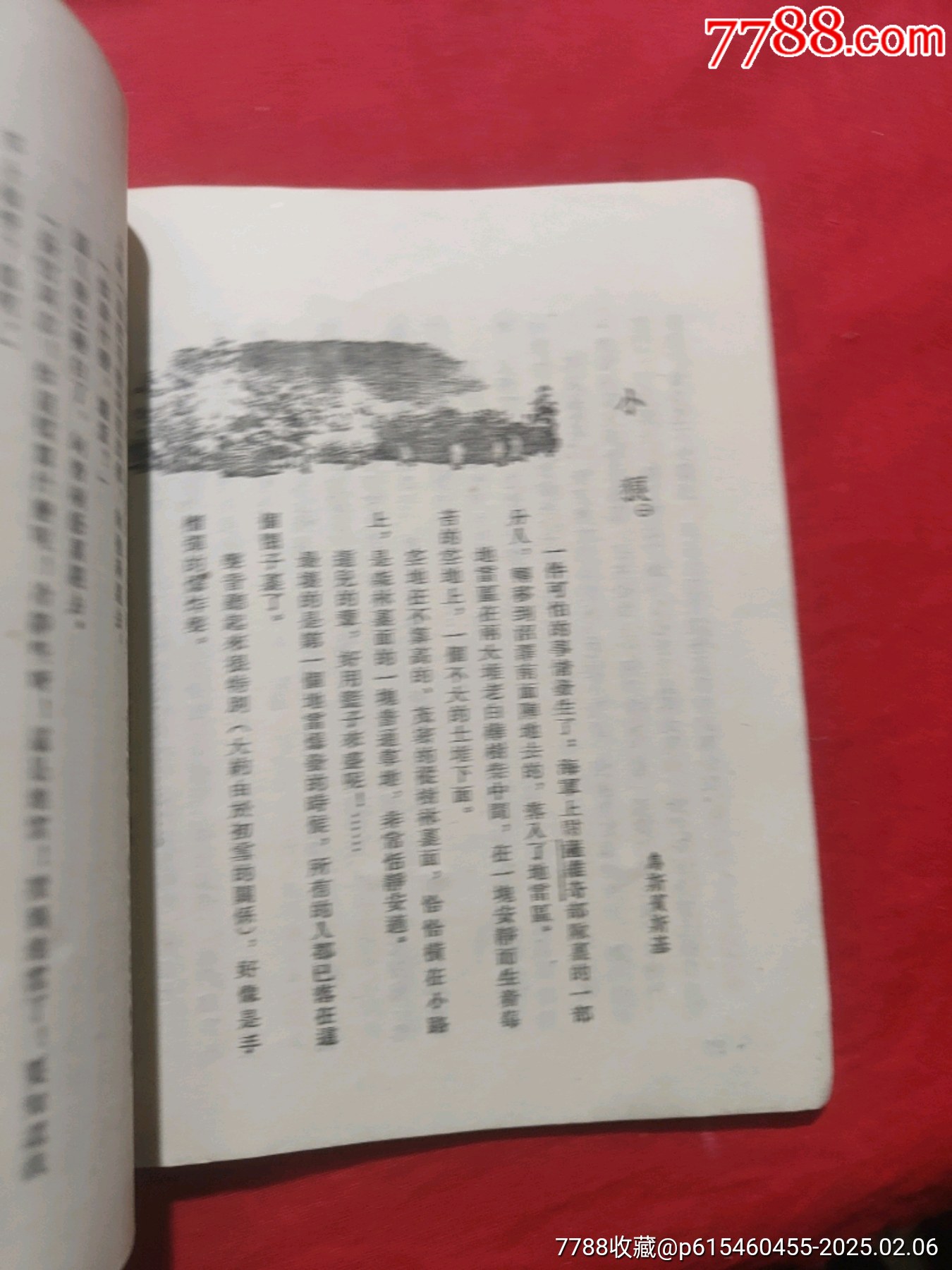 少年英雄的故事（插圖本）_價格60元【浪浪書屋】_第12張_7788收藏__收藏?zé)峋€