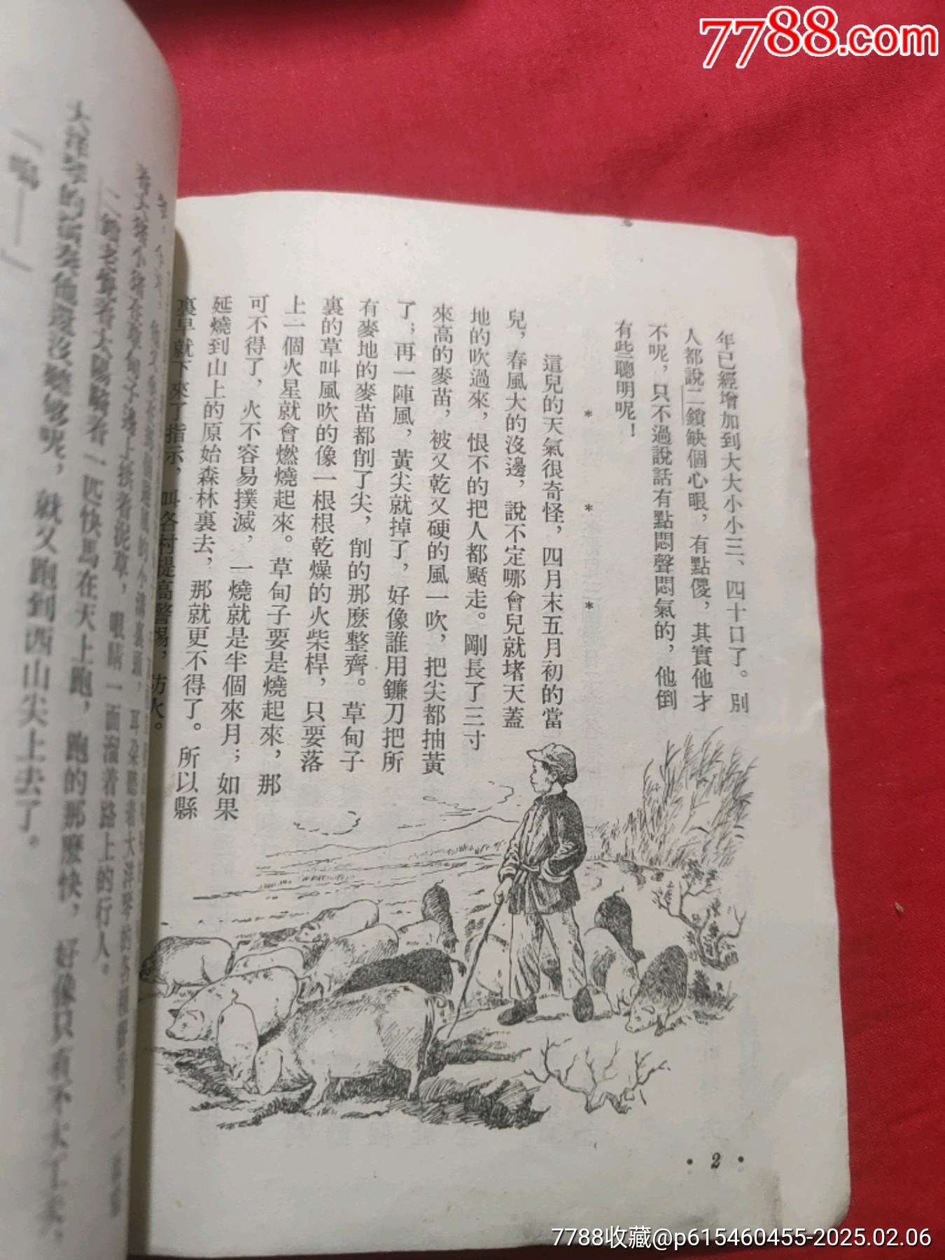 勇敢的二鎖（插圖本）_價(jià)格50元【浪浪書屋】_第8張_7788收藏__收藏?zé)峋€