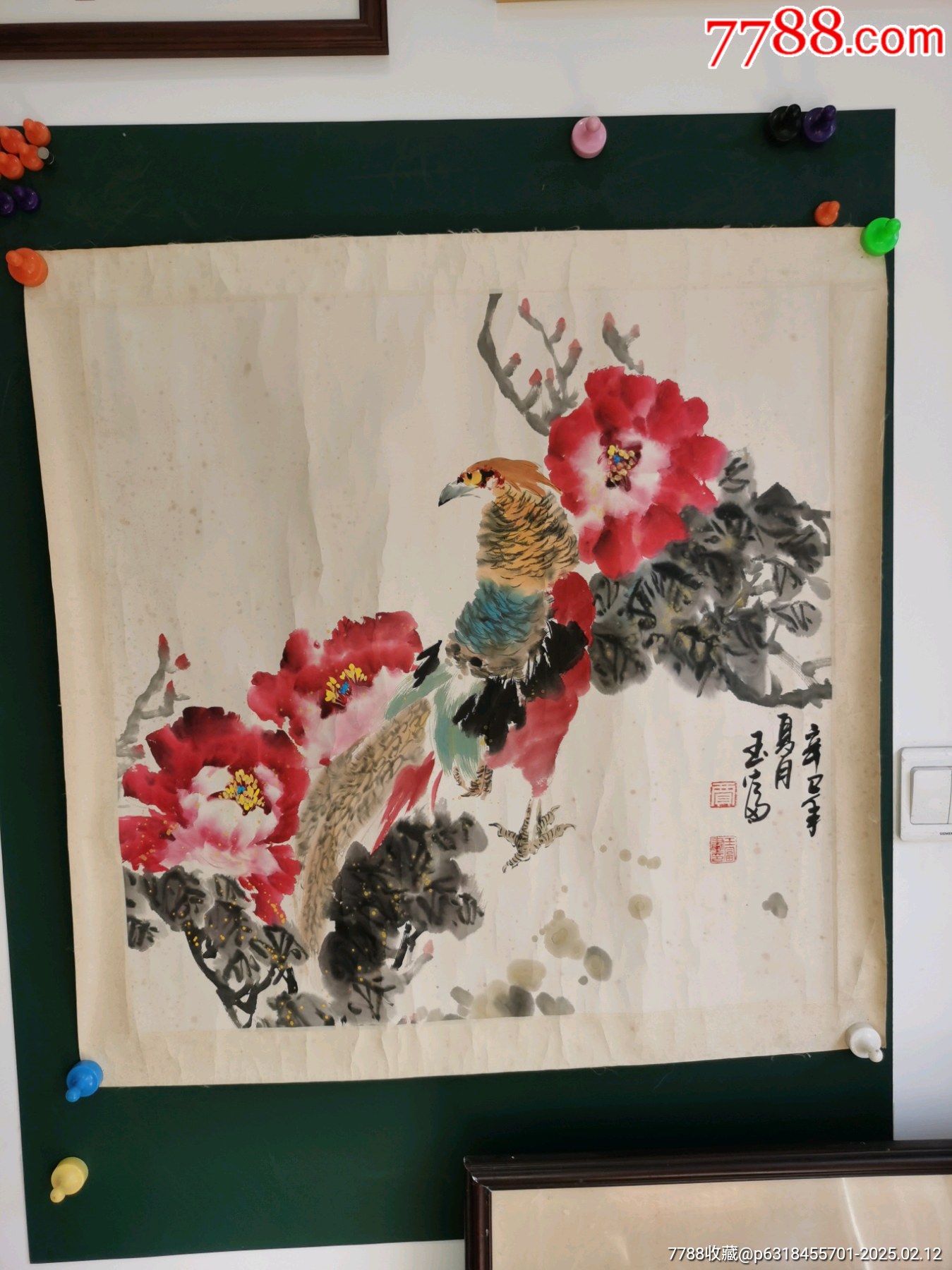 贾玉富画的锦鸡,画芯尺寸63x63,中国国家博物馆艺术委员会委员,教授