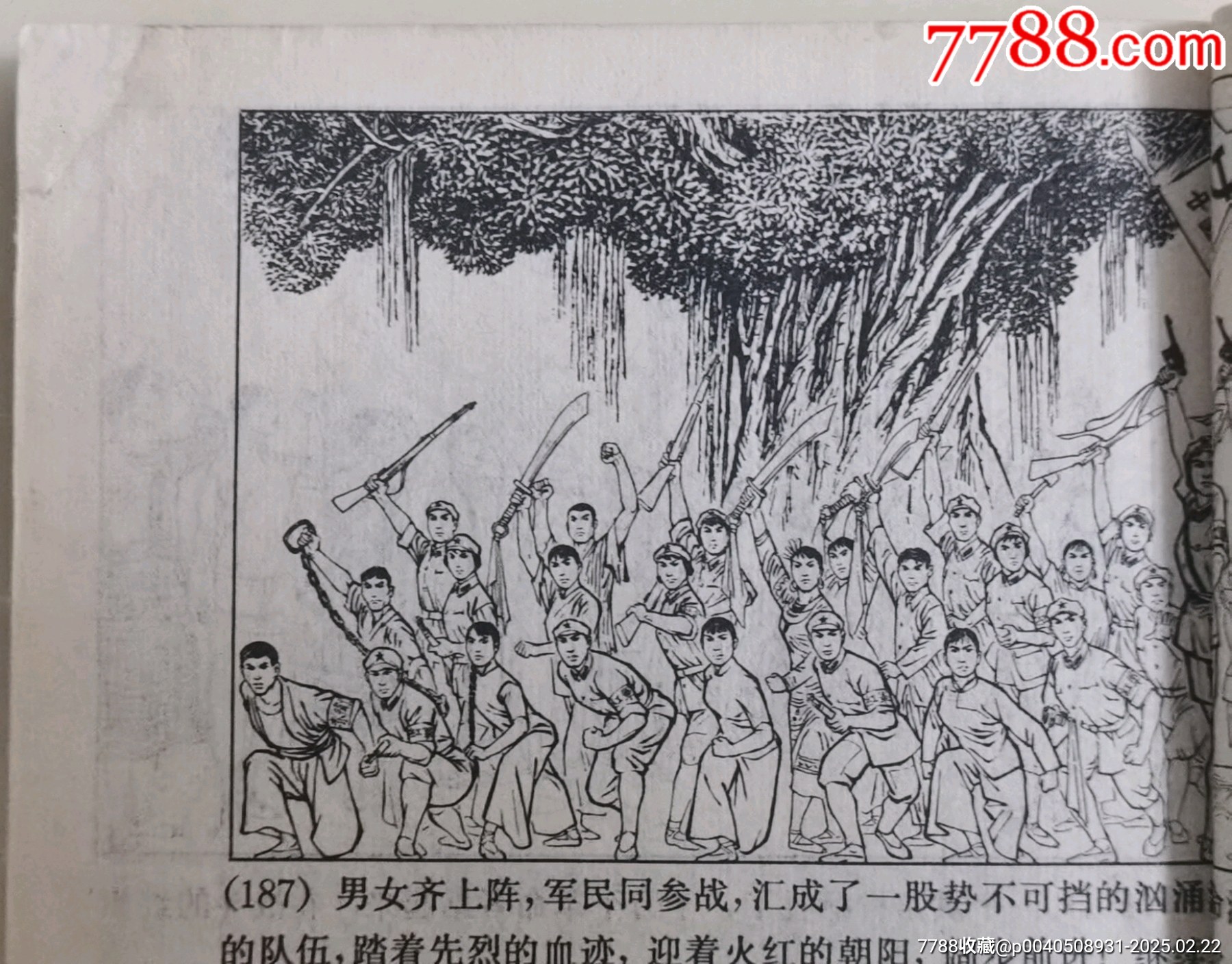 紅色娘子軍_價(jià)格60元_第7張_7788收藏__收藏?zé)峋€