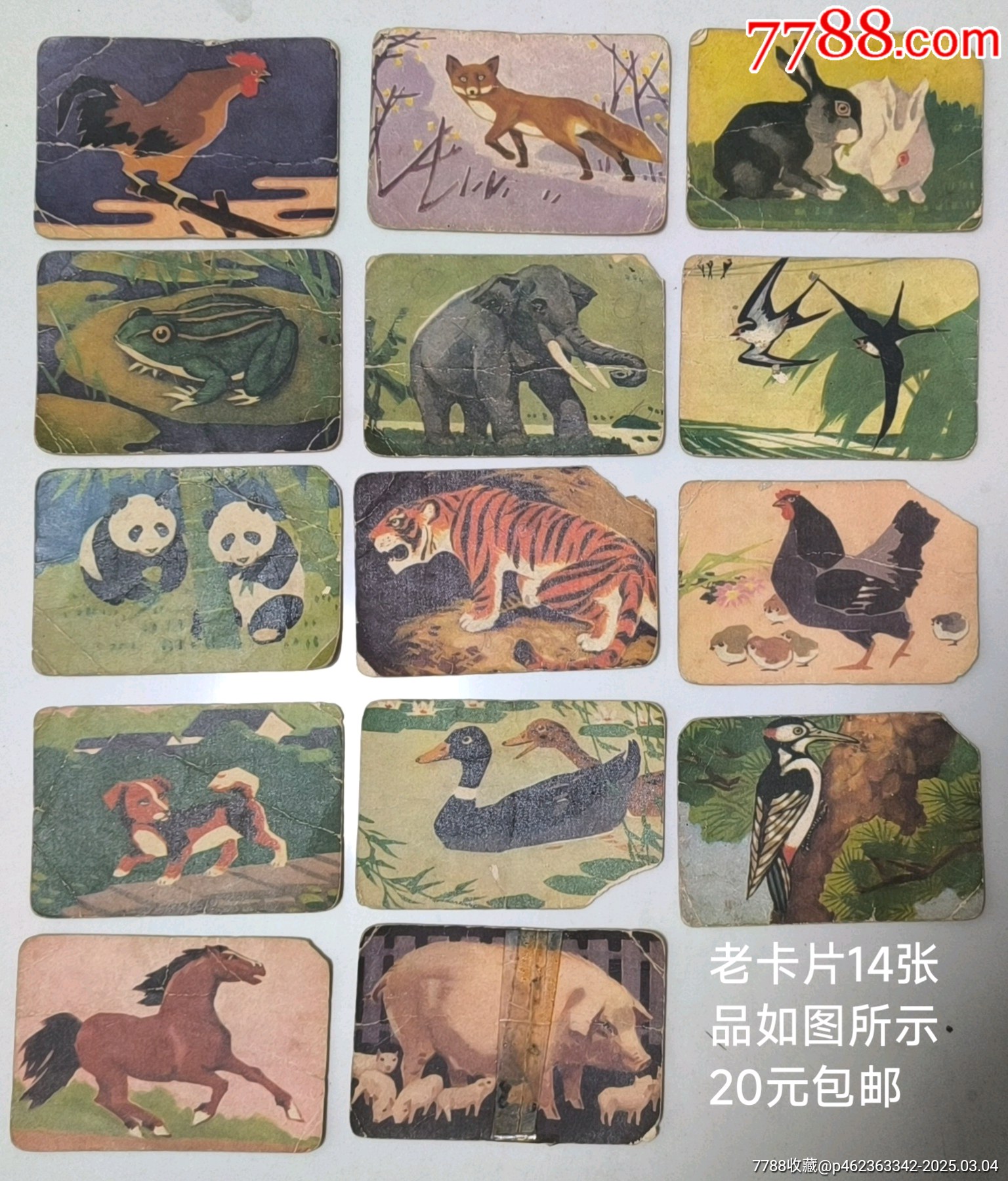 老的動物卡片_價格20元【武漢收藏品】_第1張_7788收藏__收藏?zé)峋€