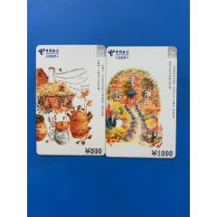 浙江金華電信繳費(fèi)卡（思念）2枚一套高面值，品如圖