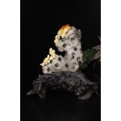 寿山石印章-寿山石-7788红宝书 寿山石印章-寿山石-7788红宝书