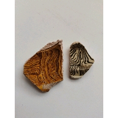 宋當(dāng)陽(yáng)裕絞胎瓷片標(biāo)本
