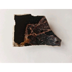 南宋吉州窯木葉盞木葉紋瓷片標(biāo)本