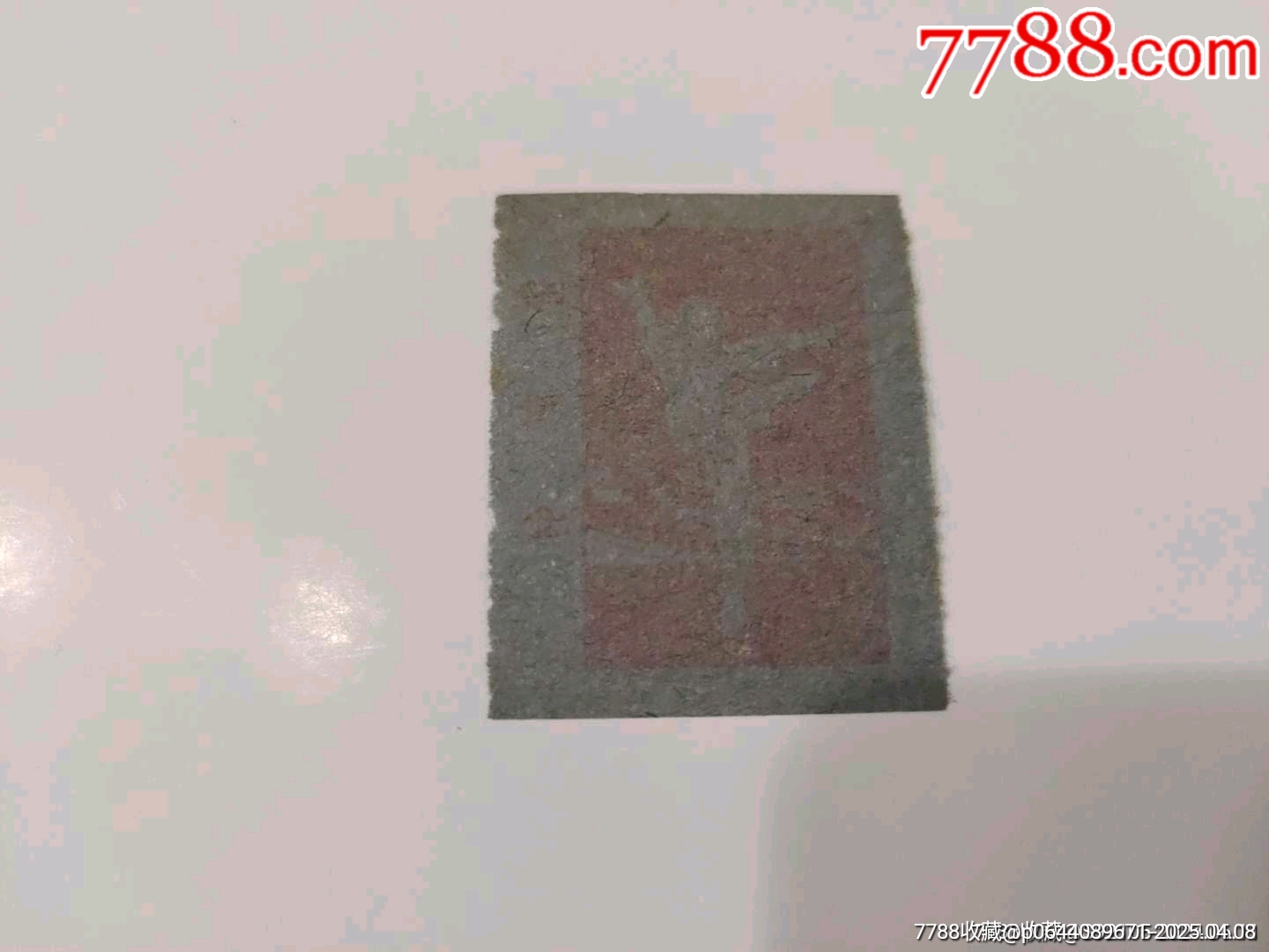 白毛女——少見品種！_價格10元【風(fēng)雅書亭】_第2張_7788收藏__收藏?zé)峋€