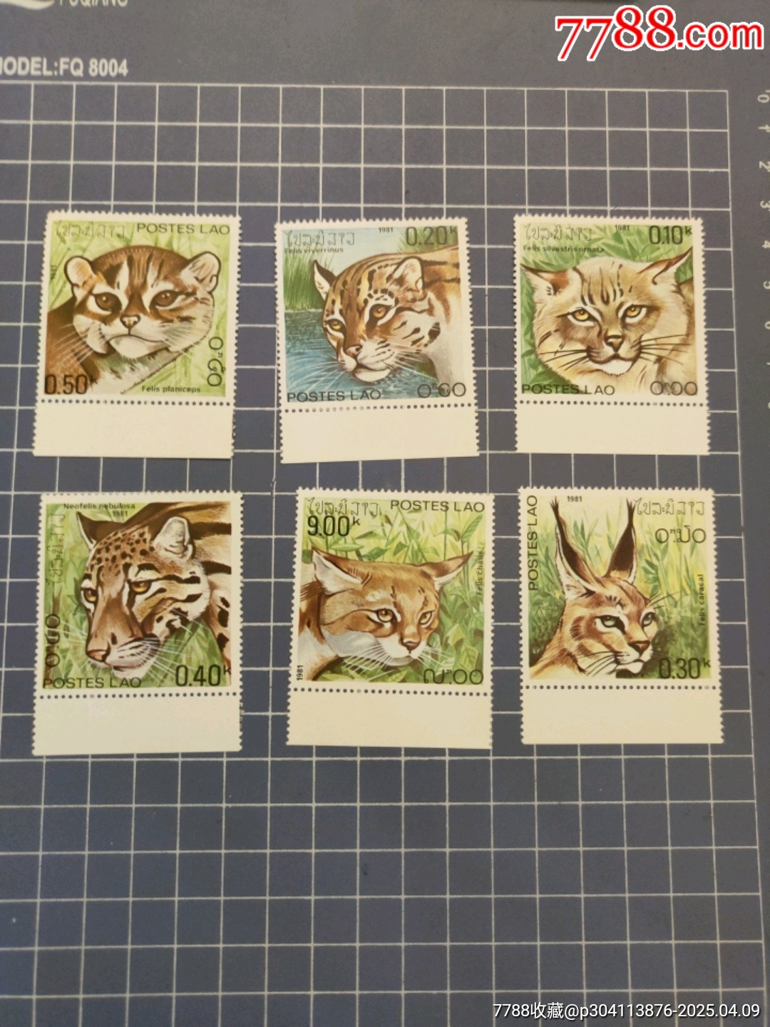 老撾1981年貓科動物郵票6全_價格7元【西門收藏品書店】_第1張_7788收藏__收藏?zé)峋€