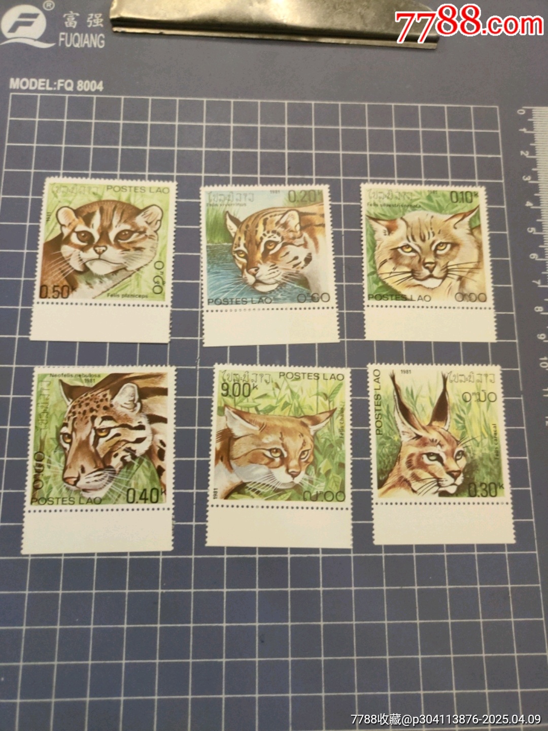 老撾1981年貓科動物郵票6全_價格7元【西門收藏品書店】_第2張_7788收藏__收藏?zé)峋€