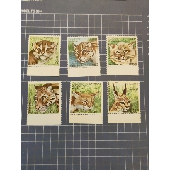 老撾1981年貓科動(dòng)物郵票6全(se106080492)_西門(mén)收藏品書(shū)店