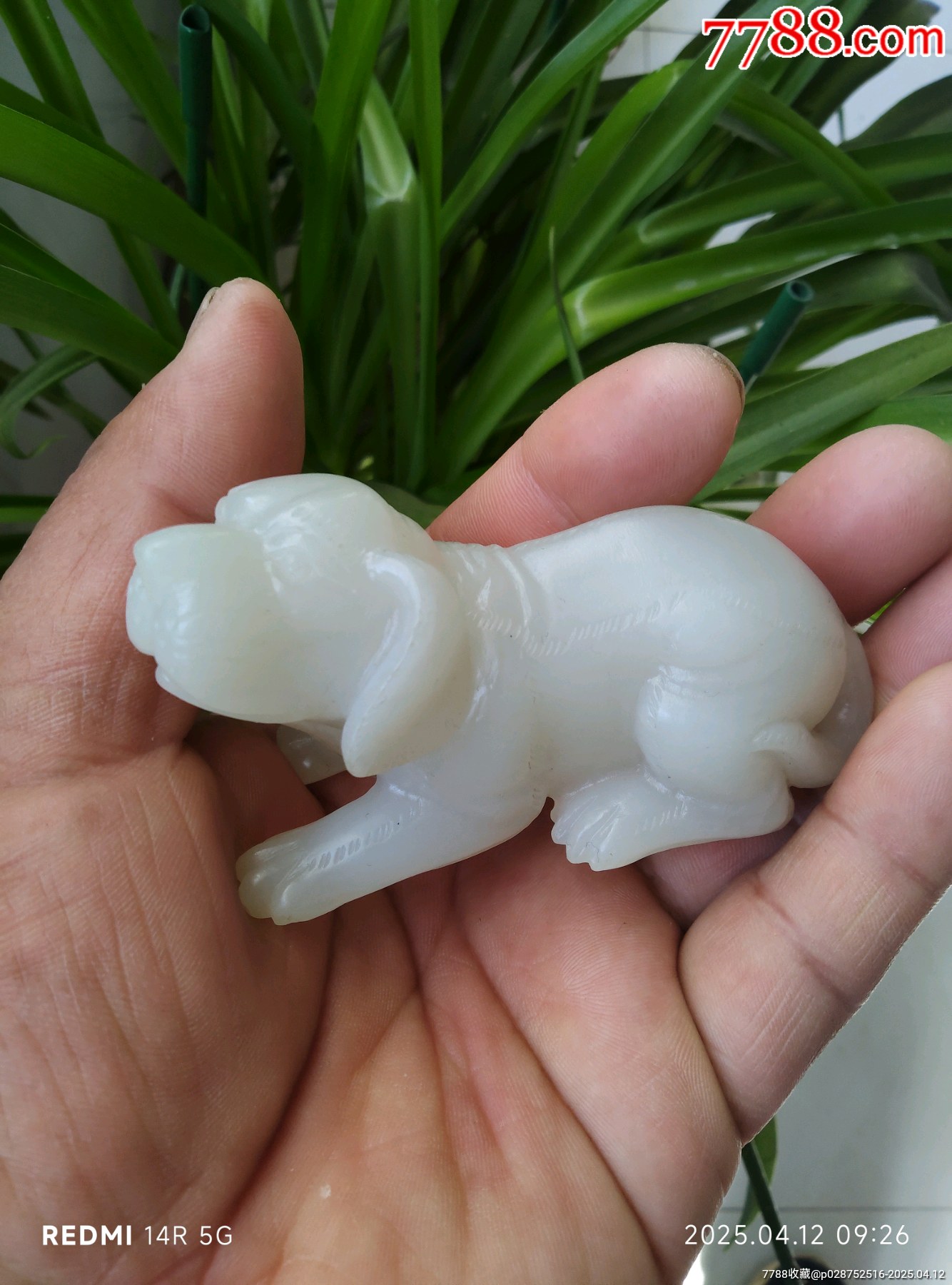 和田玉玉犬_價(jià)格4580元_第1張_7788收藏__收藏?zé)峋€