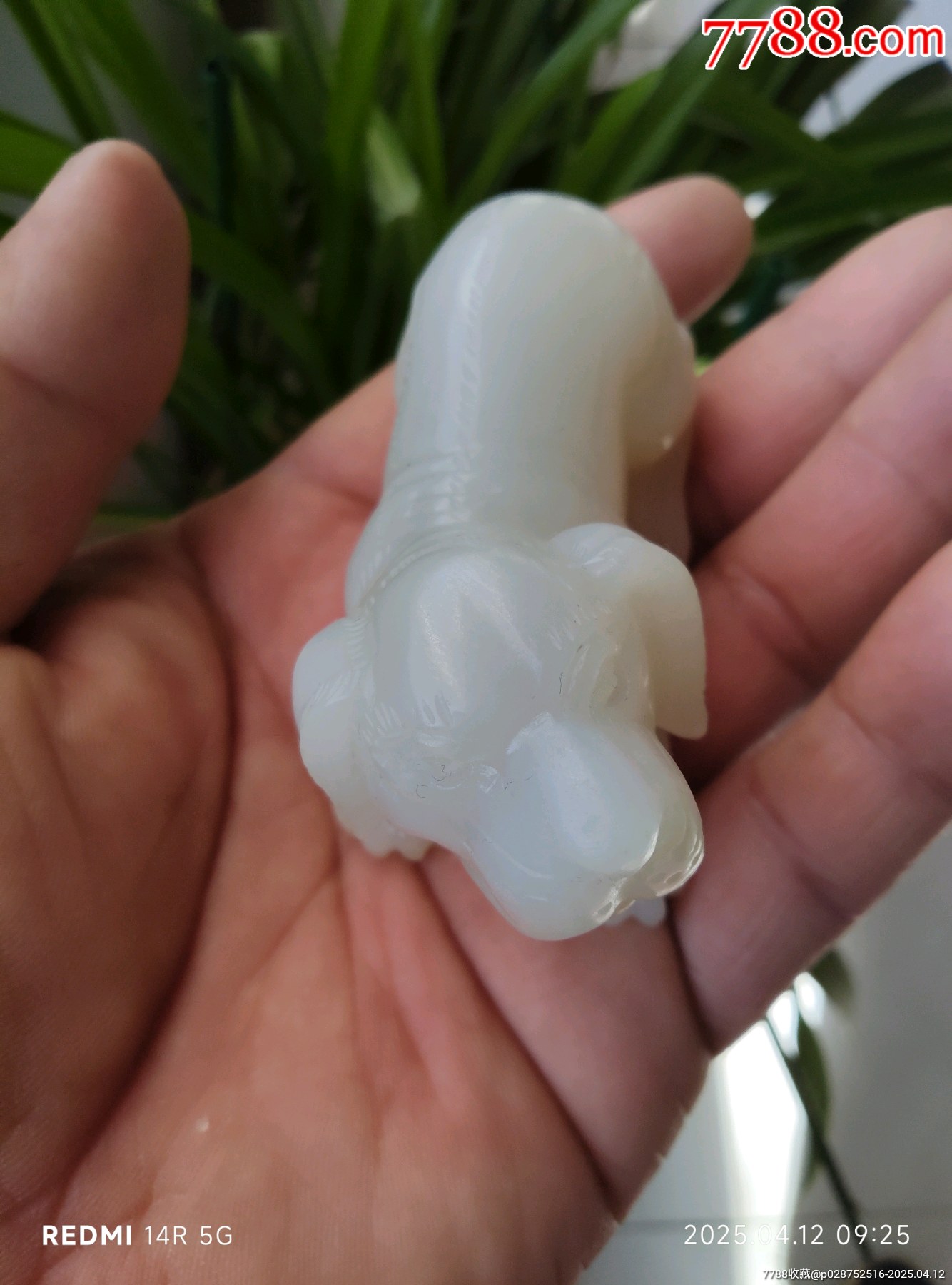 和田玉玉犬_價(jià)格4580元_第2張_7788收藏__收藏?zé)峋€
