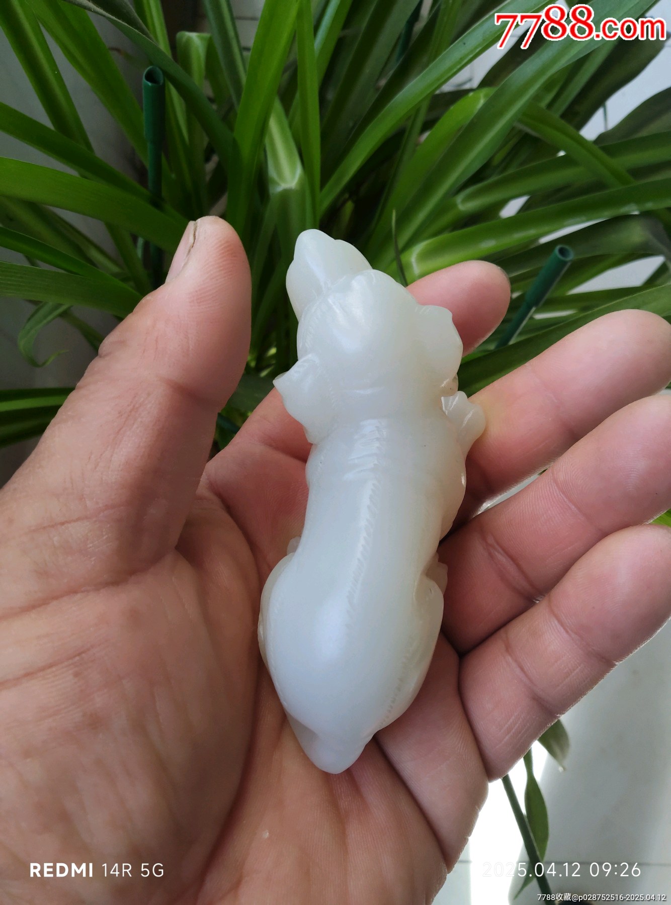 和田玉玉犬_價(jià)格4580元_第4張_7788收藏__收藏?zé)峋€