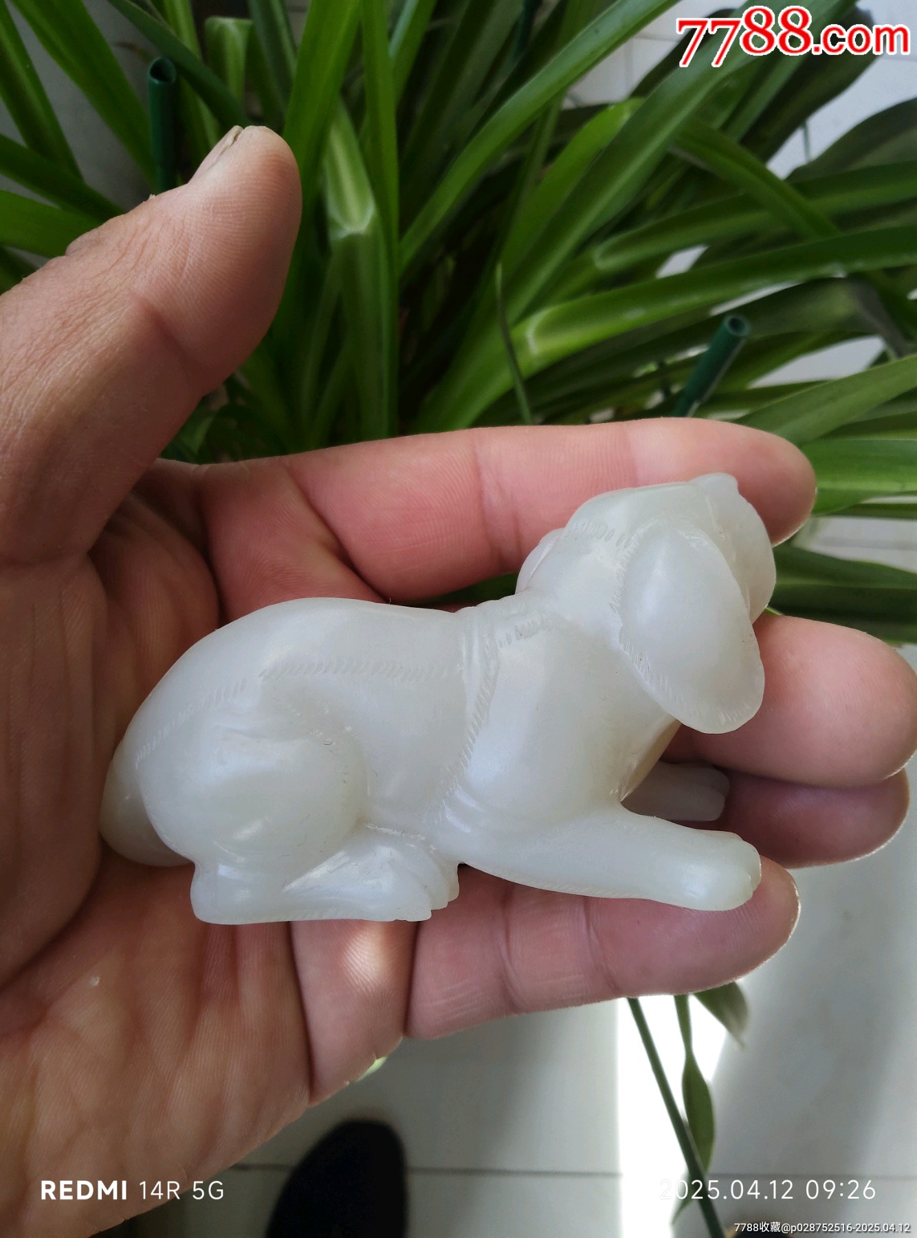 和田玉玉犬_價(jià)格4580元_第5張_7788收藏__收藏?zé)峋€