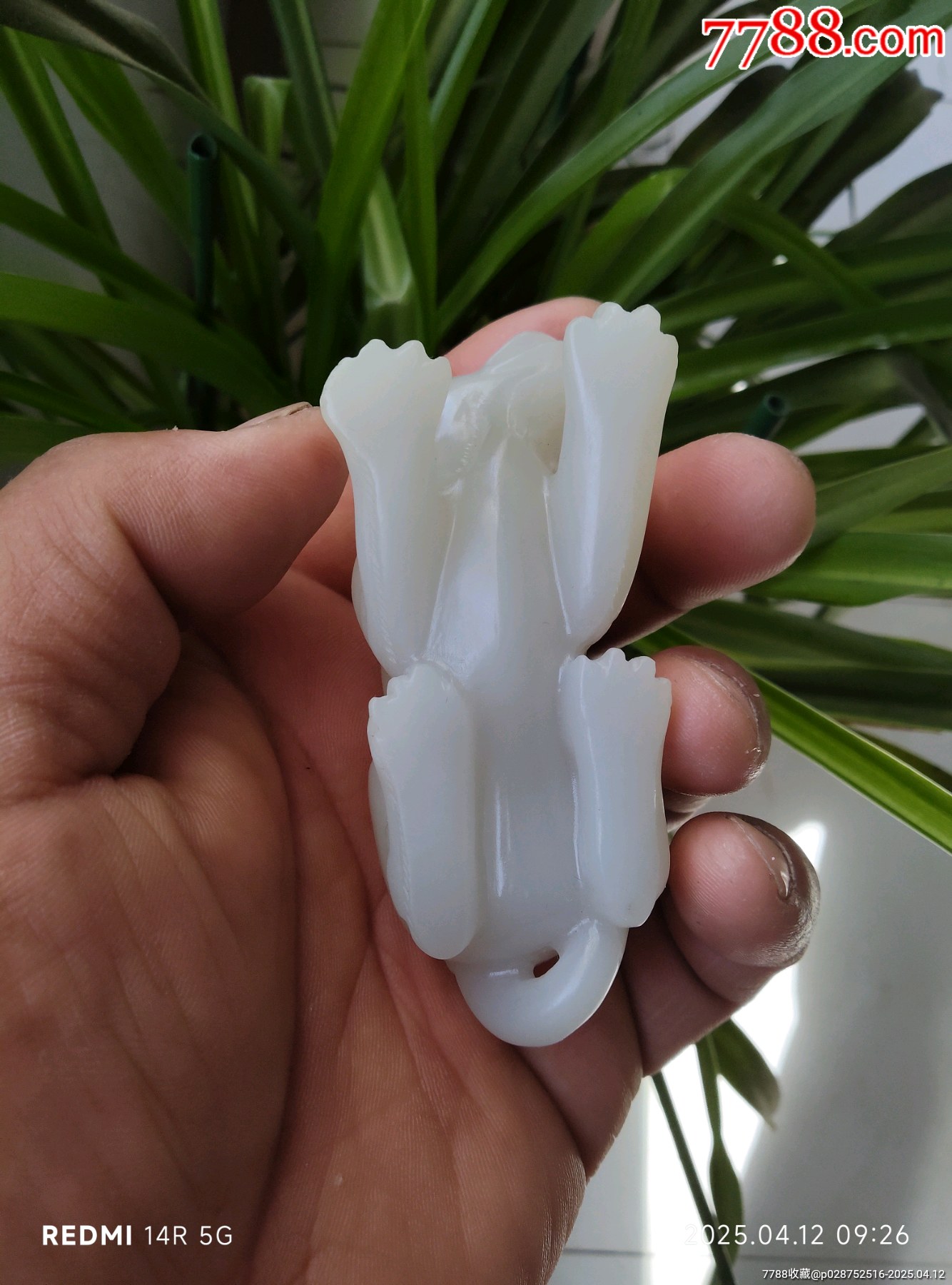 和田玉玉犬_價(jià)格4580元_第7張_7788收藏__收藏?zé)峋€