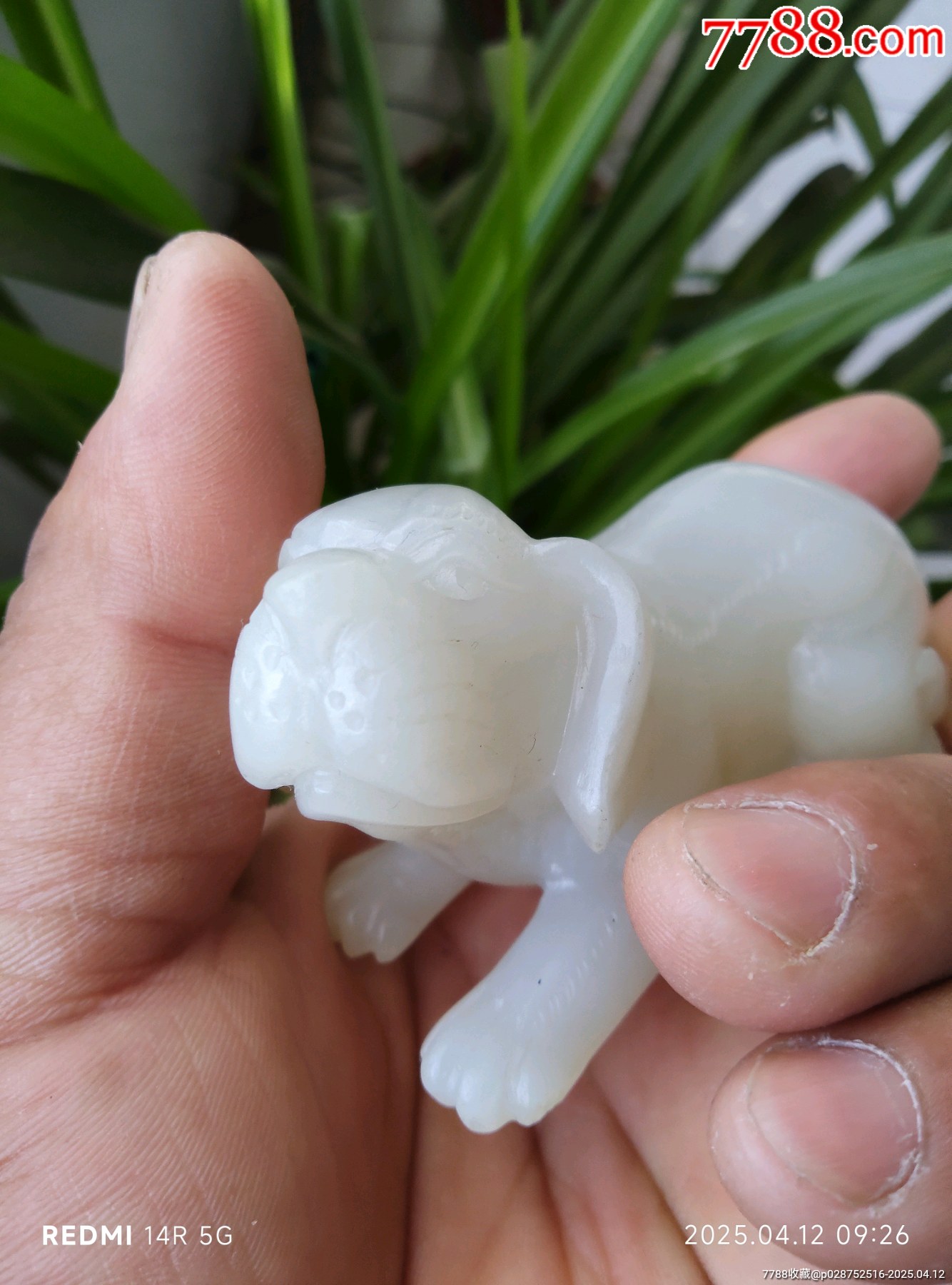和田玉玉犬_價(jià)格4580元_第10張_7788收藏__收藏?zé)峋€