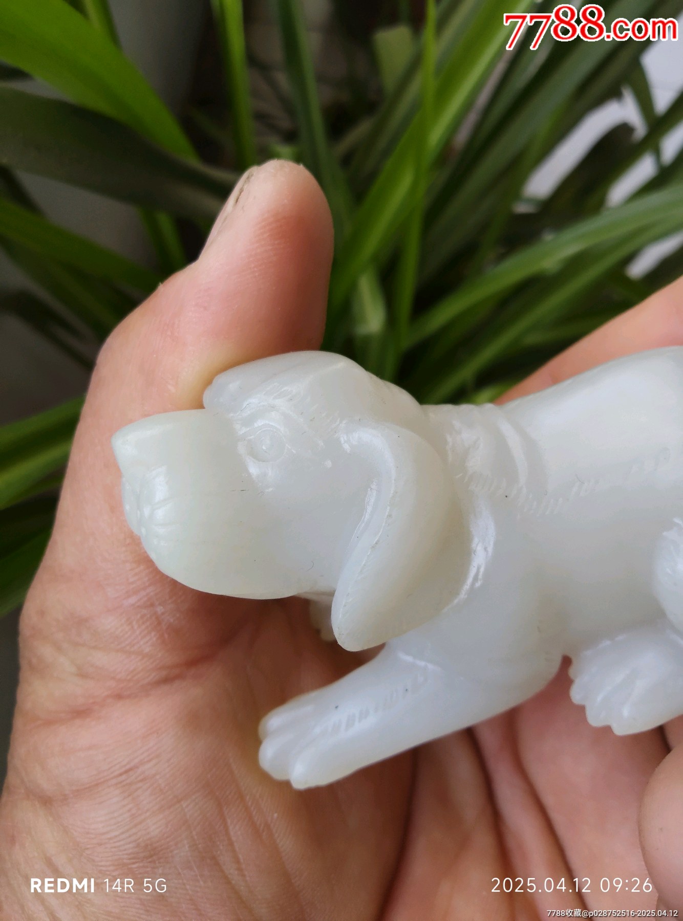 和田玉玉犬_價(jià)格4580元_第11張_7788收藏__收藏?zé)峋€