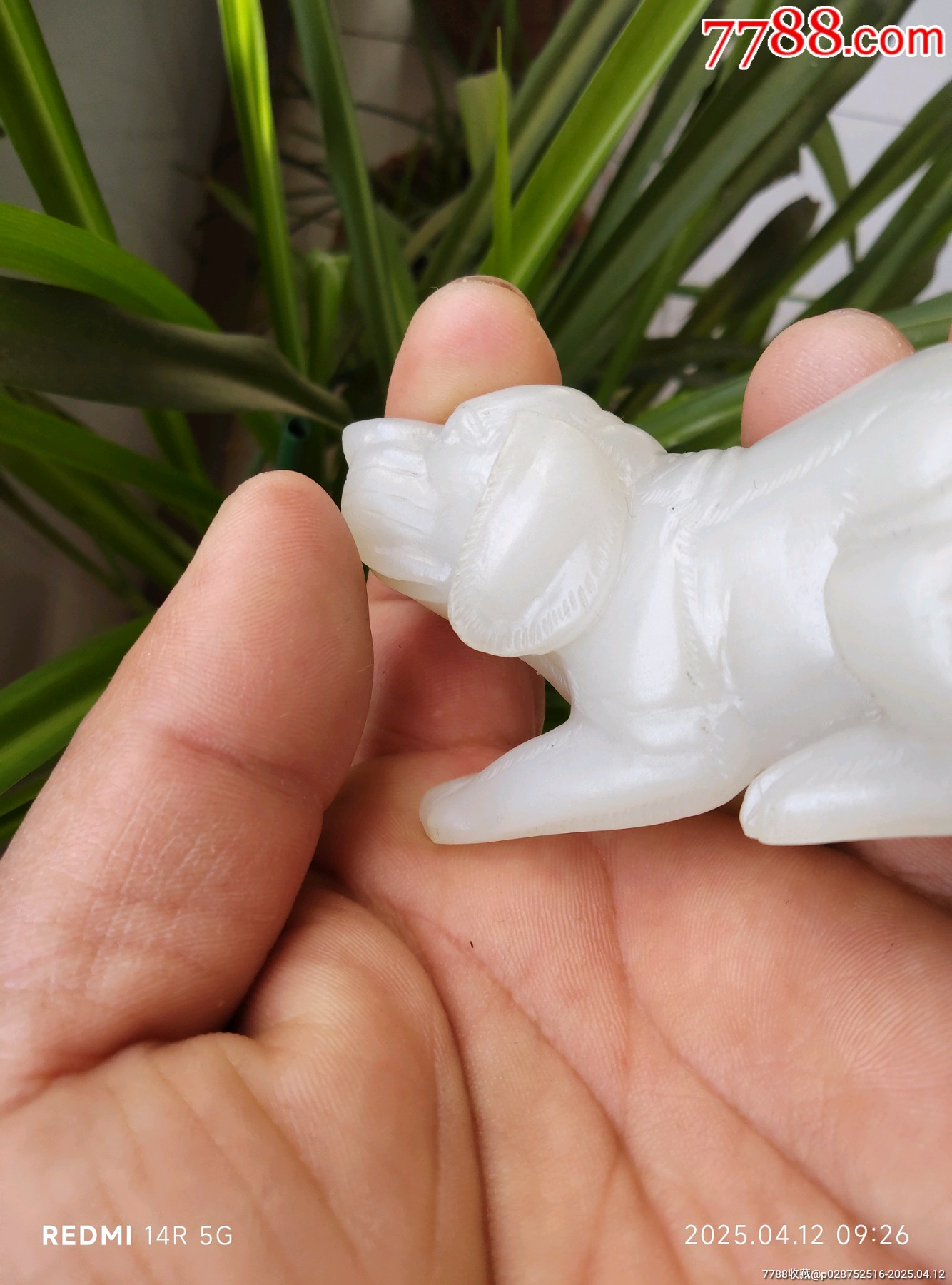 和田玉玉犬_價(jià)格4580元_第13張_7788收藏__收藏?zé)峋€