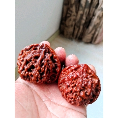 蚂蚁纹凹底逐鹿南疆石狮子头炮弹桩（边37肚36高37天然一对重35.6