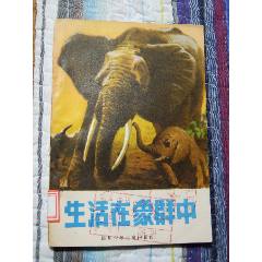 生活在象群中（一版一印）（插圖本）(se106230875)_7788收藏__收藏?zé)峋€