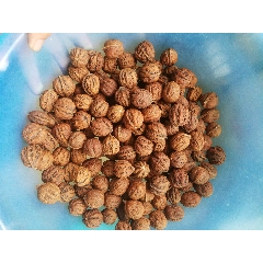 盘了一年的蛤蟆头核桃一对_文玩核桃_我爱我藏【7788旧书网】
