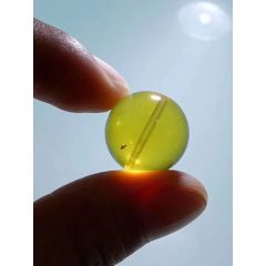 90210J002直徑1.6厘米琥珀蟲(chóng)珠子_遼南博雅齋