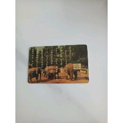 昆明市公園年卡。。。大象！(se106400313)_大可堂書店