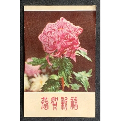 恭賀新禧一團菊_安居收藏店